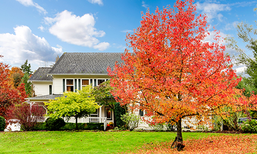 houseowners tips in fall